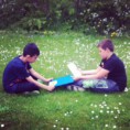 /album/fotogallerij/image-2-jpeg1/